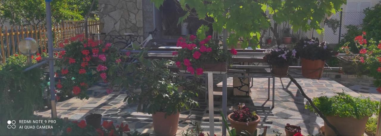 Orhideja Appartement Zadar Buitenkant foto